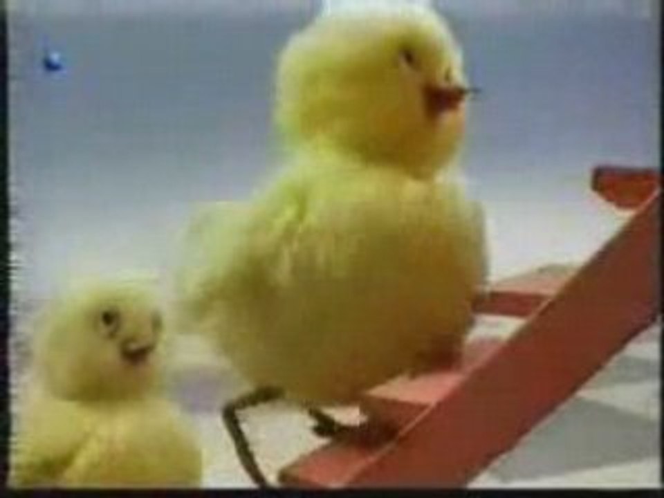 Dalin Reklamı