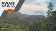 Sarawak perluas kawasan hutan terlindung sepenuhnya