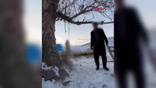 Yok böyle vahşet: Köpeğini ağaca asarak öldürdü, sözleri kan dondurdu!