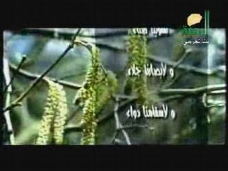 اللهم صلي على سيدنا محمد