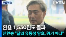 환율 1,530원도 돌파...신현송 "달러 유동성 양호, 위기 아냐" / YTN