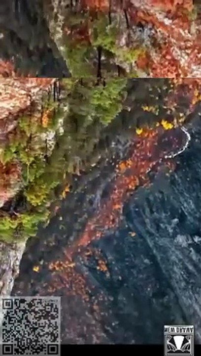 ☢️ TOP Ⓜ️ Wild Silence ☢️ - All Chapter dailymotion  xa3r5cq 0331B01