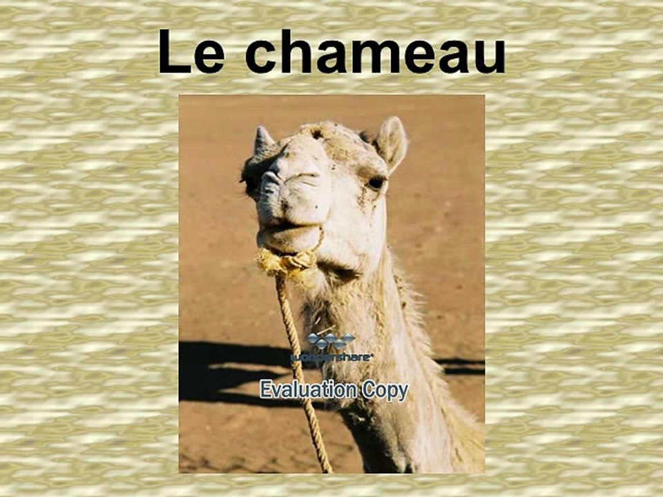 "Les dangers d'une mauvaise mémoire" !