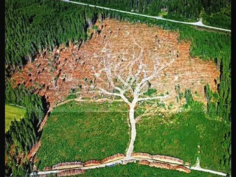 Catastrophes écologiques