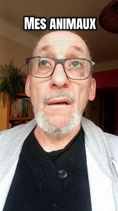 Mes animaux à la maison 🐇🐱🥴