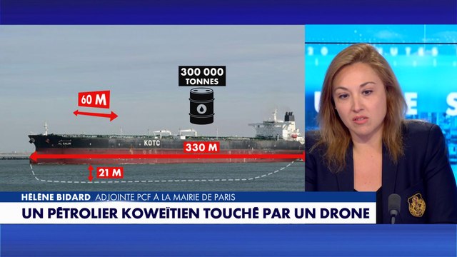 Hélène Bidard : «La guerre est une catastrophe écologique»