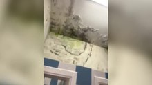 Il video del degrado della Residenza Fersina di Trento: migranti costretti a vivere tra muffa, infiltrazioni e rifiuti