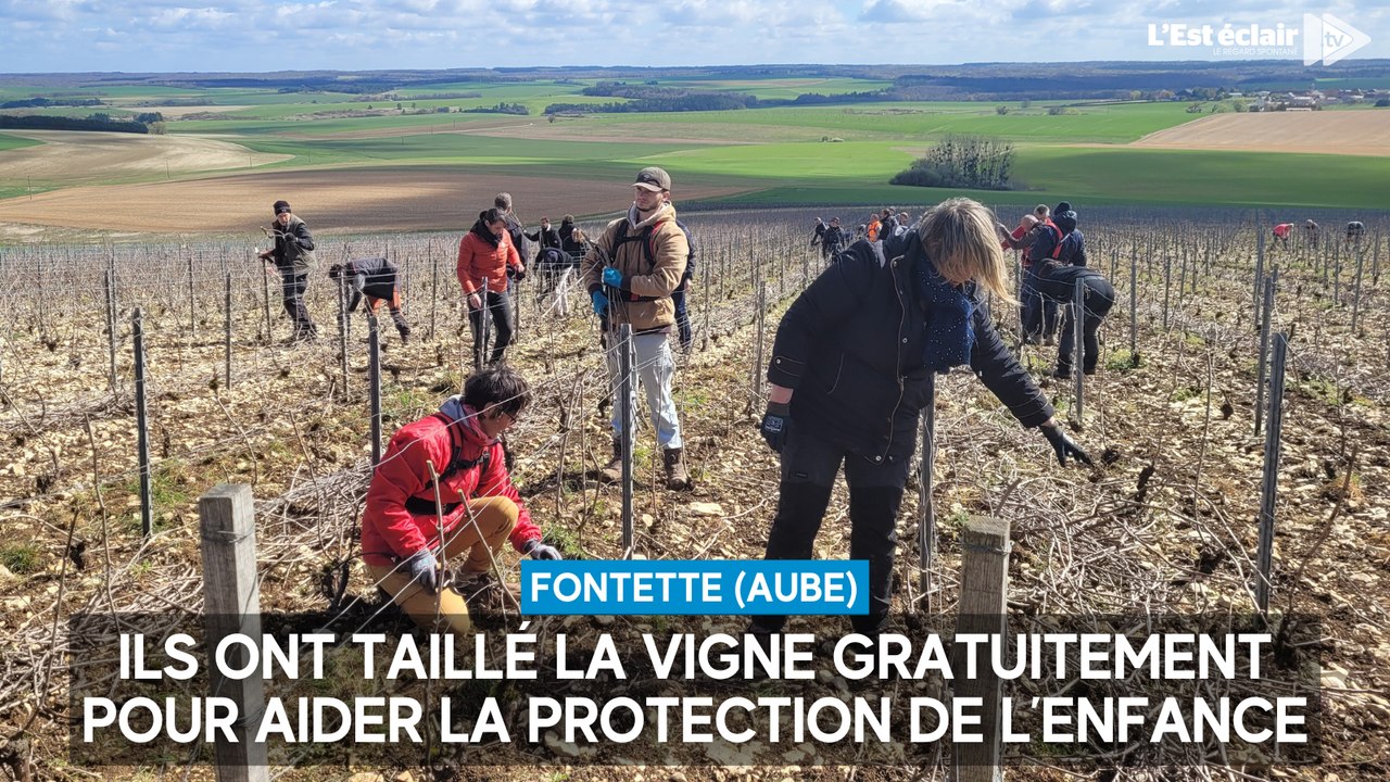 Ils ont taillé la vigne gratuitement pour aider la protection de l’enfance : retour sur "La Taille du cœur" 2026