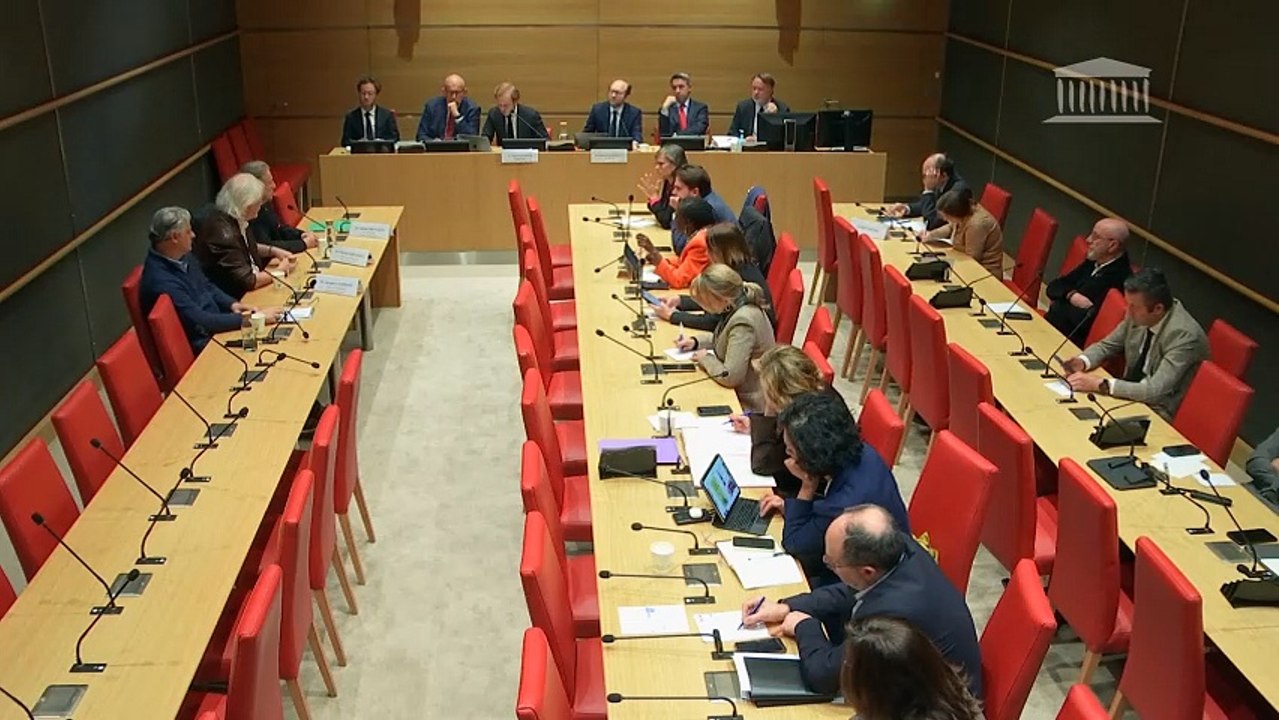 Audition de Michel Drucker et Patrick Sébastien par la Commission d'enquête sur l'audiovisuel public