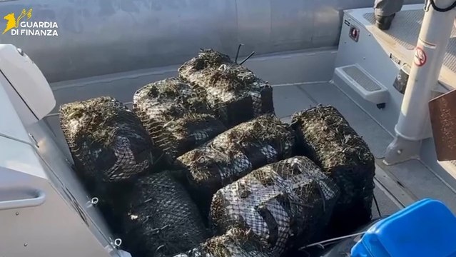 Gioia Tauro (RC) - 400 chili di cocaina purissima: maxi sequestro da 60 milioni, arrestato scafista (31.03.26)