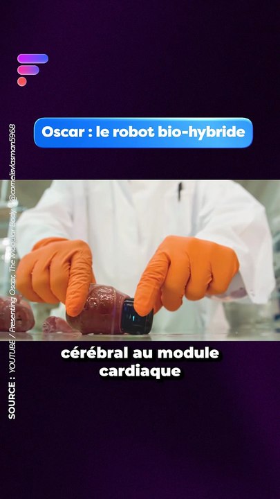 Oscar : le robot bio-hybride #BioHybrid #oscard #Technologie #Futur #Science #Robot #shorts