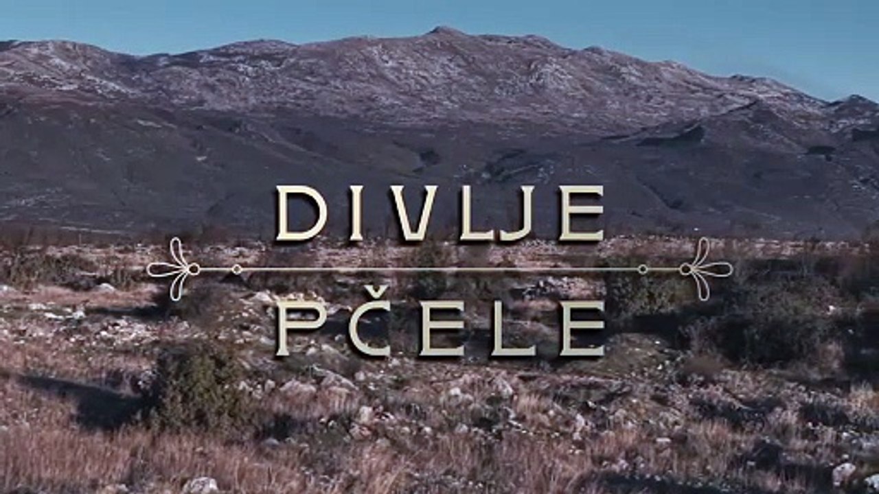 Divlje Pčele Sezona 1 Epizoda 72 Gledaj Online Seriju