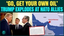 ‘Go Get Your Own Oil’: Trump BLASTS UK, France Over Iran War; Tells Allies to Seize Fuel from Hormuz