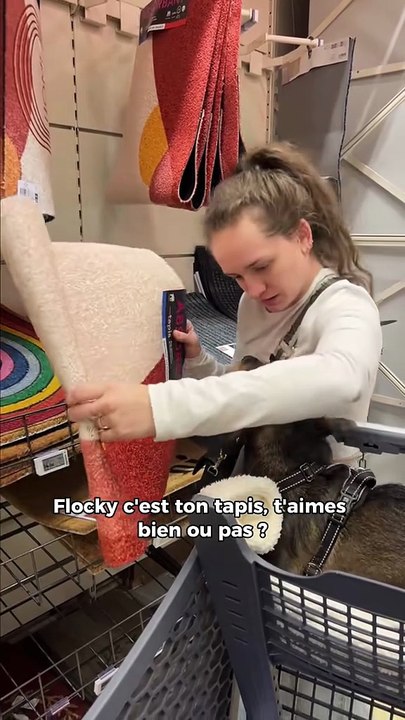 On fait la chambre de ma fille