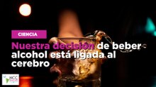 Nuestra decisión de beber alcohol está ligada al cerebro