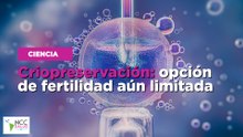 Criopreservación: opción de fertilidad aún limitada