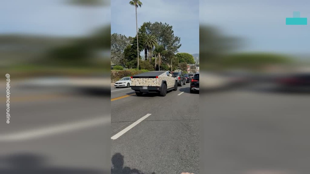 Hilarious Moment Dog Matches Cybertruck Wrap