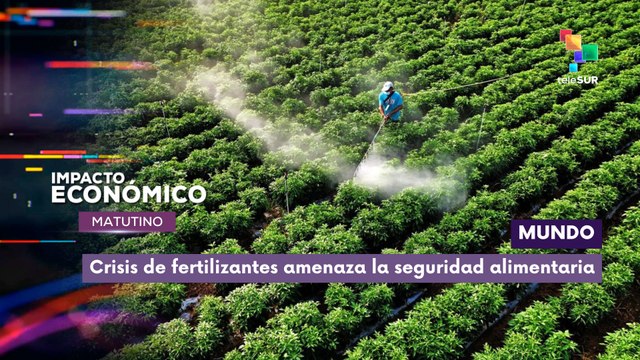 Impacto Económico | Mundo | Crisis de fertilizantes amenaza la seguridad alimentaria