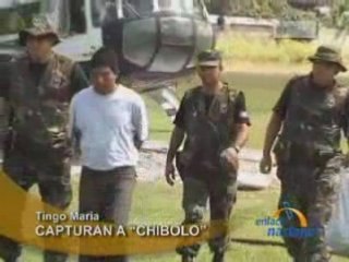 CAPTURAN A “CHIBOLO” - TINGO MARIA