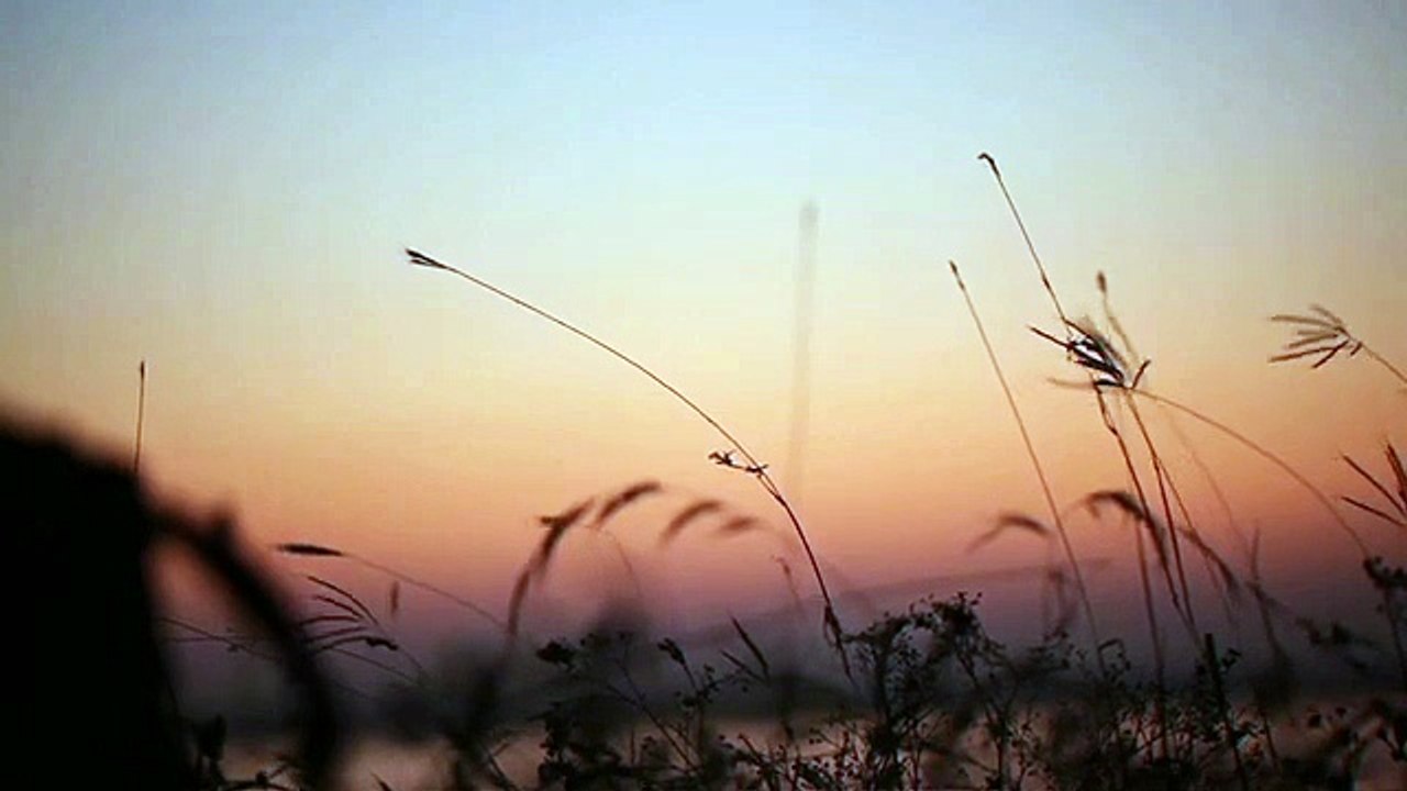 fon müziği
