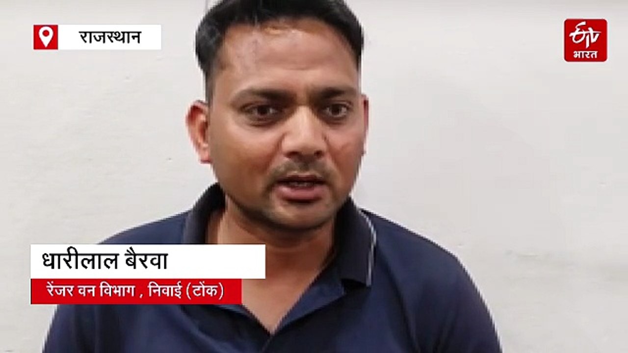 टोंक में अवैध खनन रोकने गई वन विभाग की टीम पर माफिया का हमला, दो कर्मचारी घायल