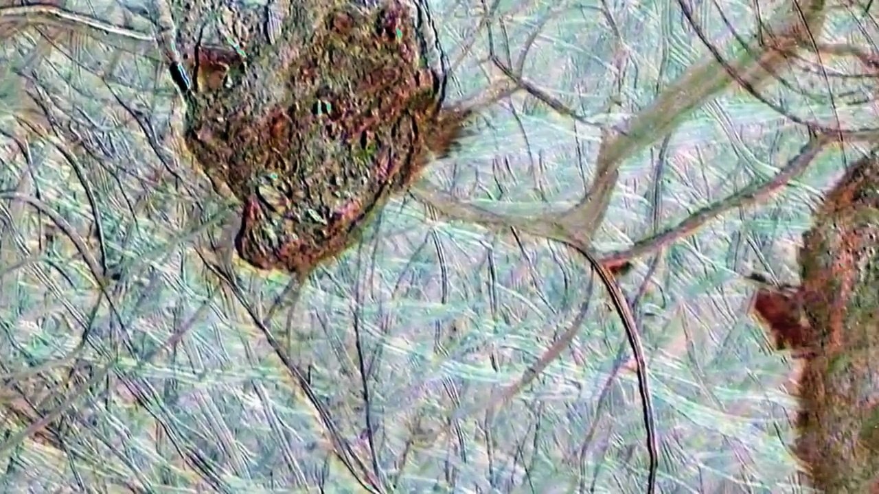 Space's Deepest Secrets Season 3 Episode 7 Expedition Extraterrestrial