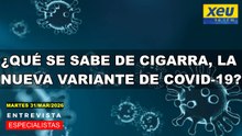 ¿Qué se sabe de Cigarra, la nueva variante de COVID-19?