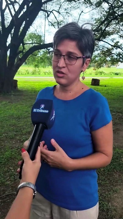 Docentes de la Escuela de Música denuncian precarización y sueldos adeudados