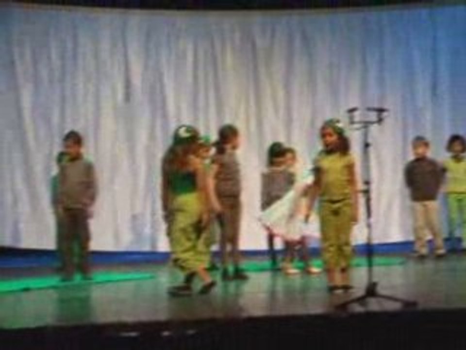 spectacle coupole saint loubes 03062008