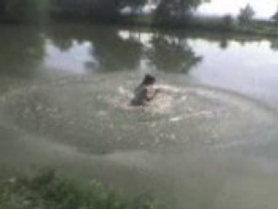 Adé a la flote
