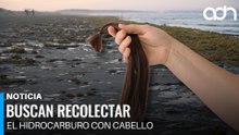 Estilistas y barberos donan cabello para limpiar el Golfo tras derrame de hidrocarburo