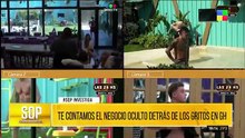 El negocio oculto detrás de los gritos en el patio de Gran Hermano - SQP