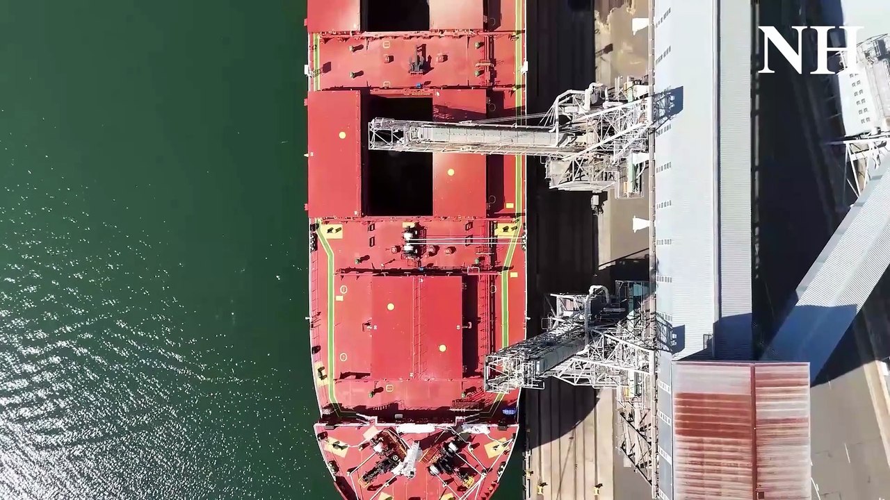 Port of Newcastle diversified trade