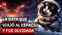 Félicette: el experimento espacial que terminó en tragedia