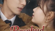 Rosebud on Her Lips Drama Movies English Sub