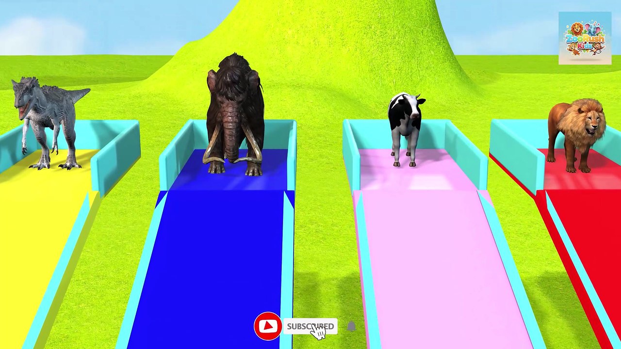 Long Slide Game With Elephant  Cow Lion Crossing swimming pool - 3d Animal Game - Funny 3d Animals