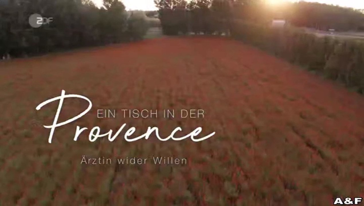 Ein Tisch in der Provence -01- Ärztin wider Willen