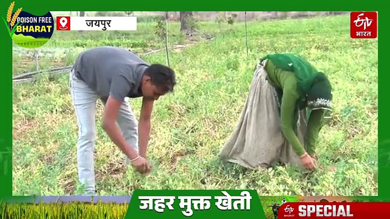 ​खेती का 'तेजपुरा मॉडल': सेल्स की नौकरी छोड़ी, अब ऑर्गेनिक खेती से हर महीने कमा रहे 2.5 लाख रुपये
