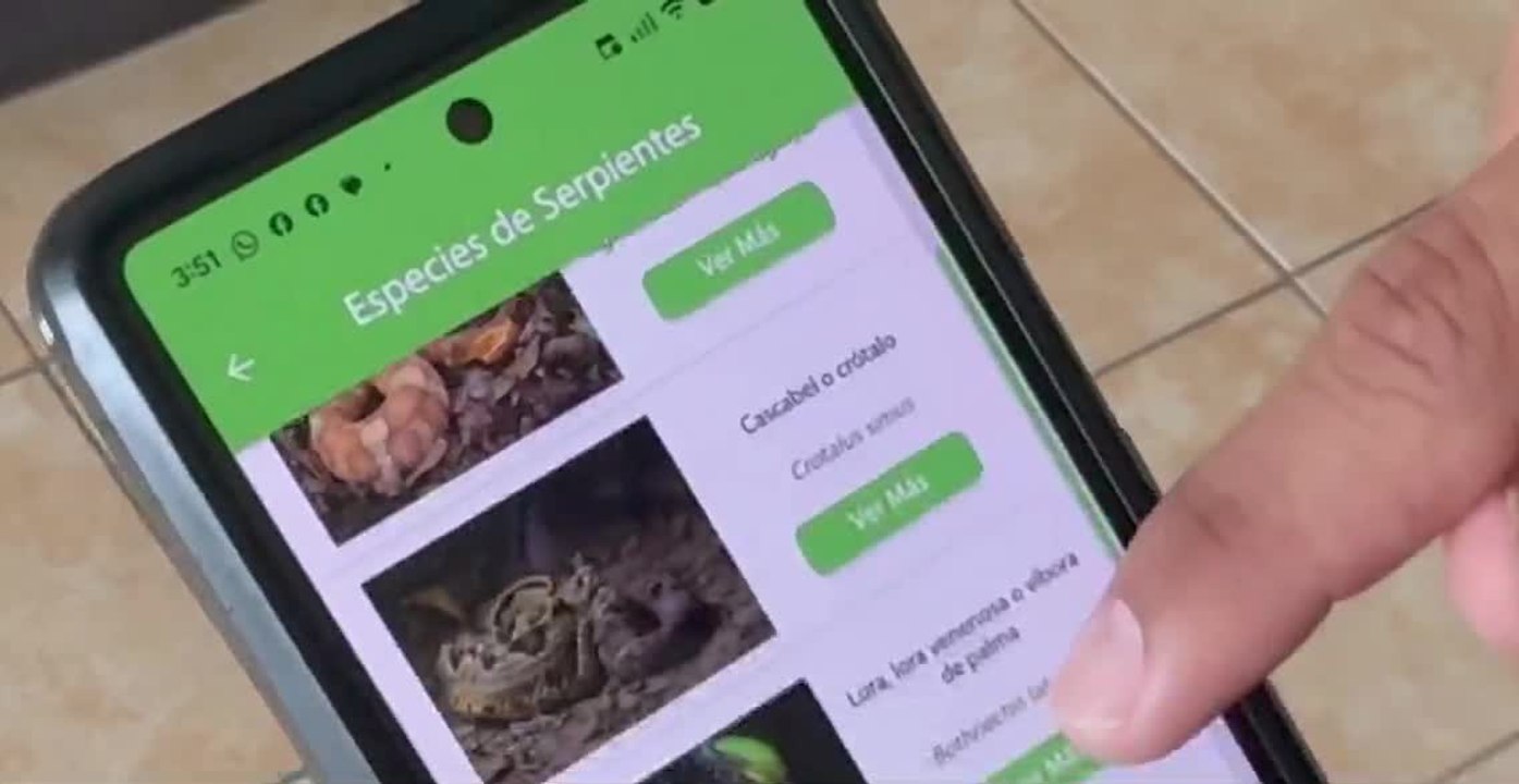 tn7-app-gratuita-de-la-ucr-podria-salvarle-la-vida-ante-una-mordedura-de-serpiente-310326
