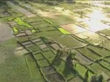 Forêts malgaches vues du ciel, par Yann Arthus-Bertrand