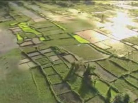 Forêts malgaches vues du ciel, par Yann Arthus-Bertrand