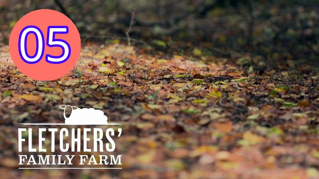 fletchers family farm s04e05 Episode 5 Engsub