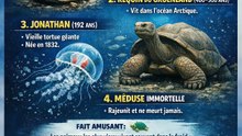 les animaux les plus anciens du monde