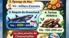 Les animaux qui peuvent vivre éternellement