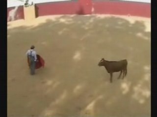 Tentadero cebada gago1