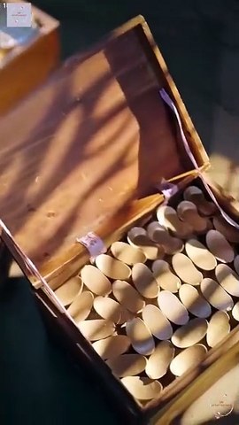 Crown of Ashes Full Episode English Sub