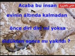 KAHROLSUN KÖPEK İSRAİL...