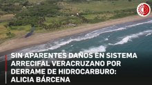 Sin aparentes daños en Sistema Arrecifal Veracruzano por derrame de hidrocarburo: Alicia Bárcena