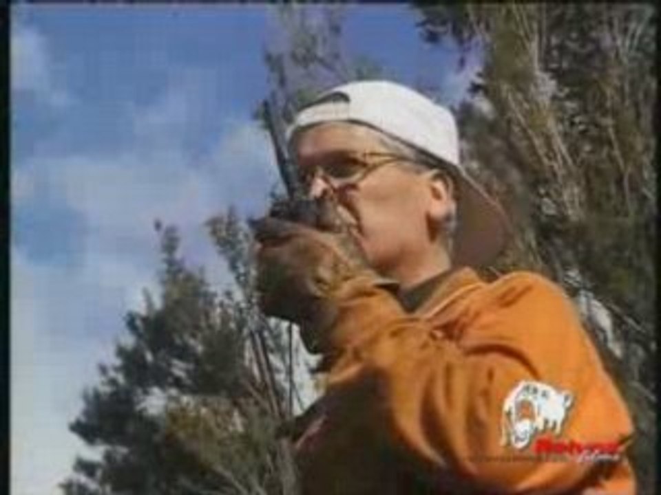 CHASSE EXTREME DU SANGLIER