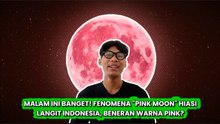 Pink Moon Hadir di Langit Indonesia, Simak Jadwal dan Cara Melihatnya